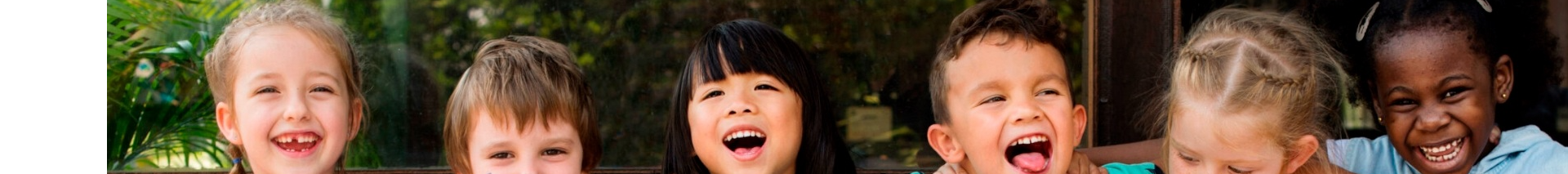 BRF Ministries banner