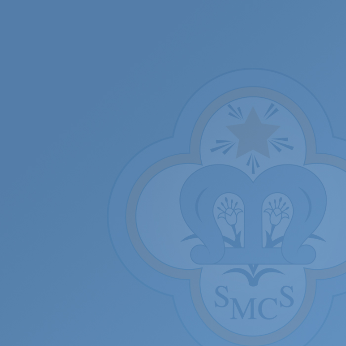 Friends Of St Marys School banner