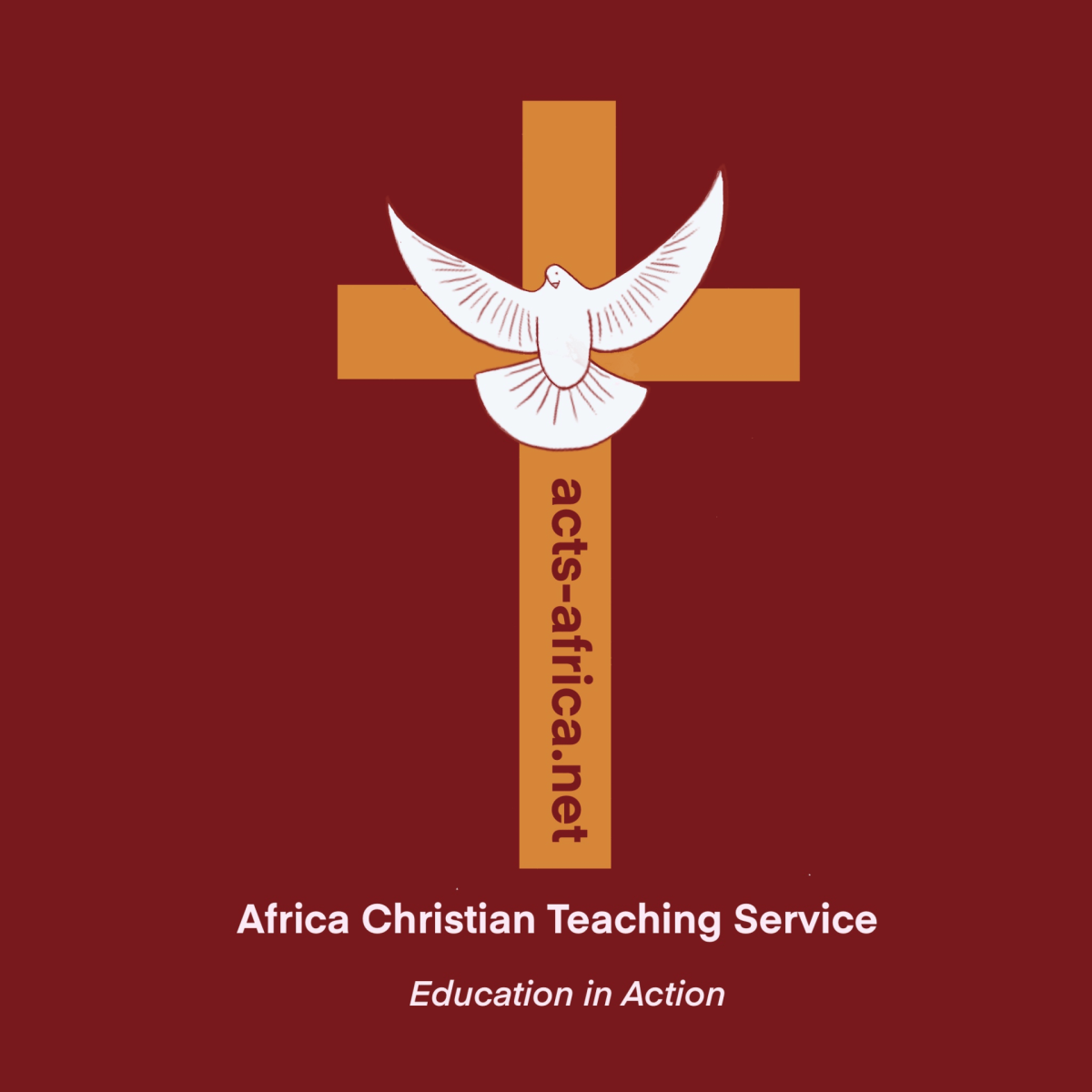 Africa Christian Teaching Services banner
