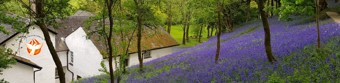 Cenacolo Community Uk banner