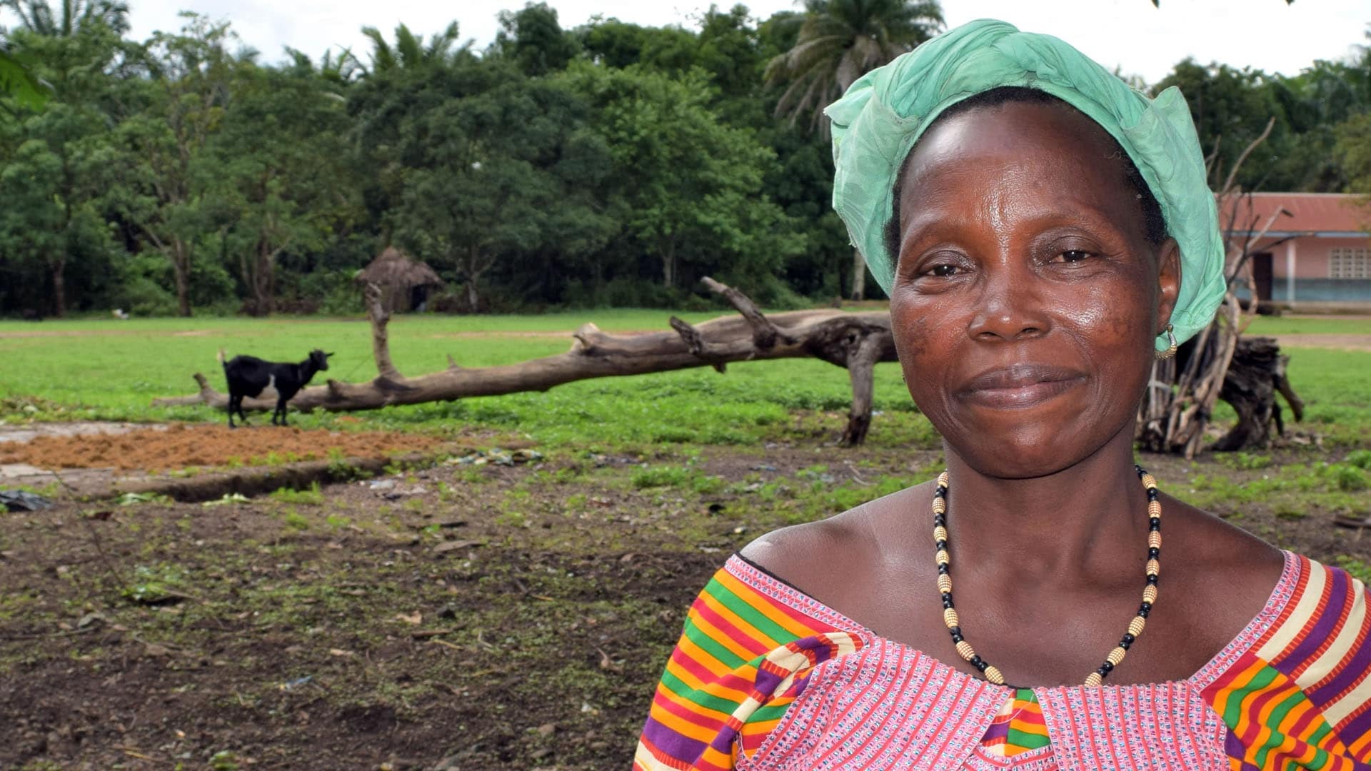 Feed The Minds banner