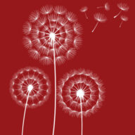 Jubilee Christian Centre Doncaster Trust logo