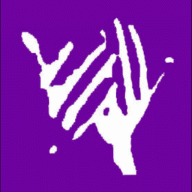 Bsl Bible Translation Project logo