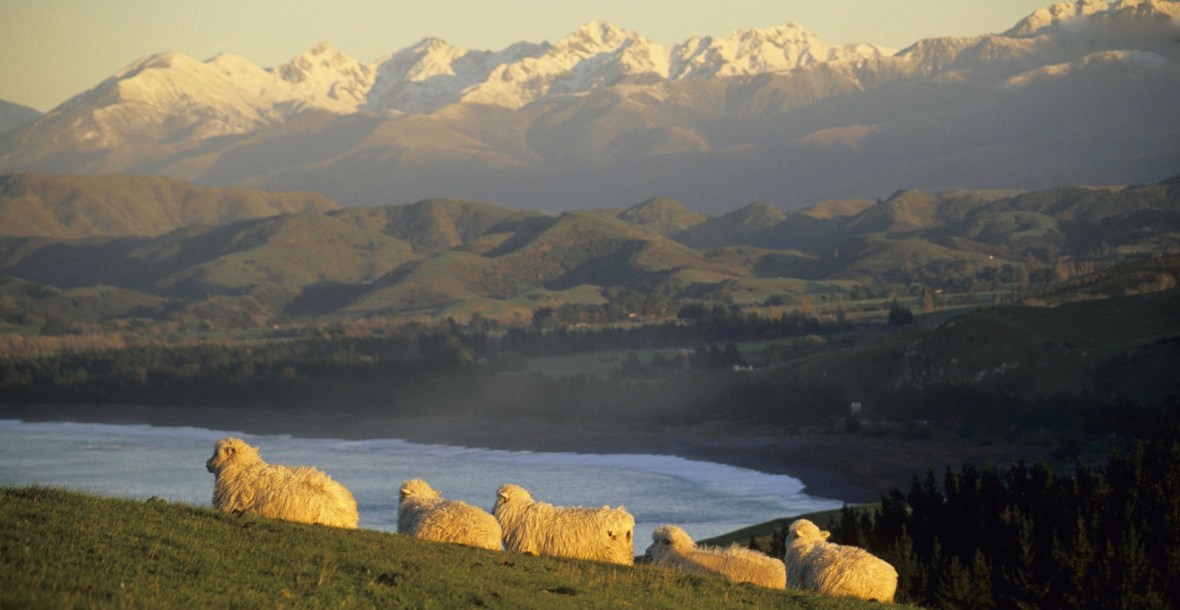 Accessible Prophecy Cio banner