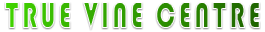 Redeemed Christian Church Of God, True Vine Centre banner