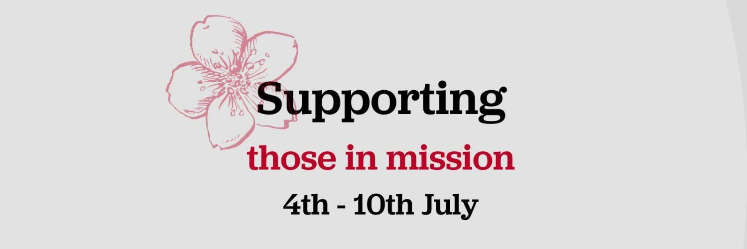 Africa Evangelical Fellowship International banner