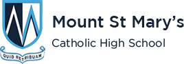 MOUNT ST MARY'S CENTENARY FUND banner