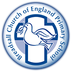 Breadsall C.e. Primary School Ptfa logo