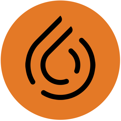 C3 LIFE logo