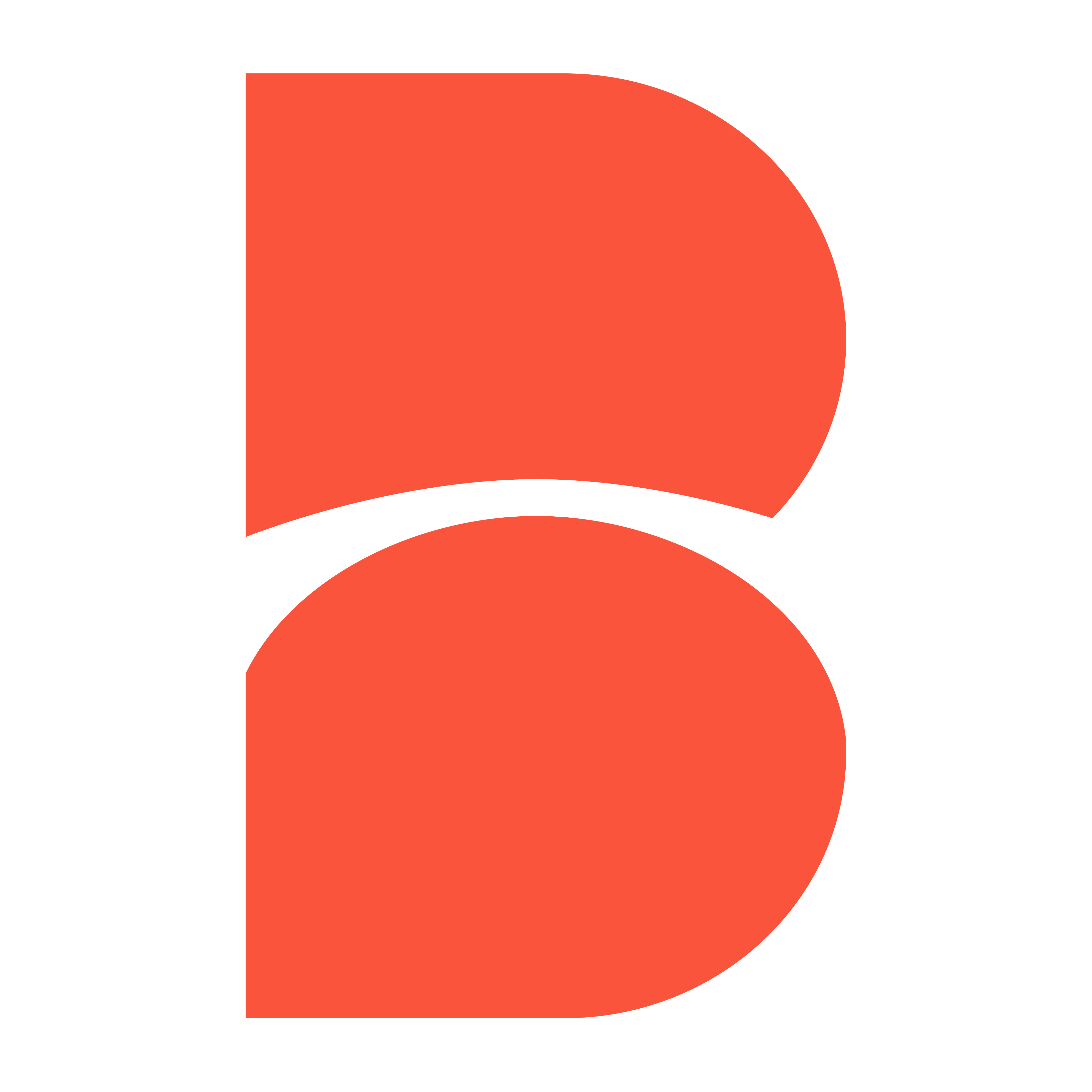 The Bridge Youth Project logo