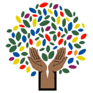 Discovering Jesus logo