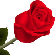 St Swithuns Institute Charity logo