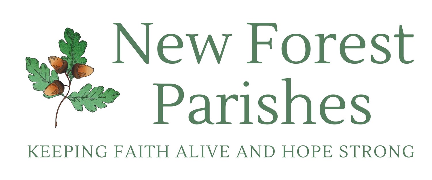 Sir Stephen Leech For Church And Churchyard banner