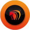 Revival Fires
