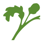 The Woodlands House of Prayer logo
